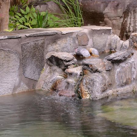 Yagurumaso Asakura  Ngoại thất bức ảnh